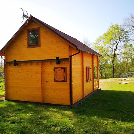 Villa Janowickie Zacisze à Janowice Wielkie Extérieur photo