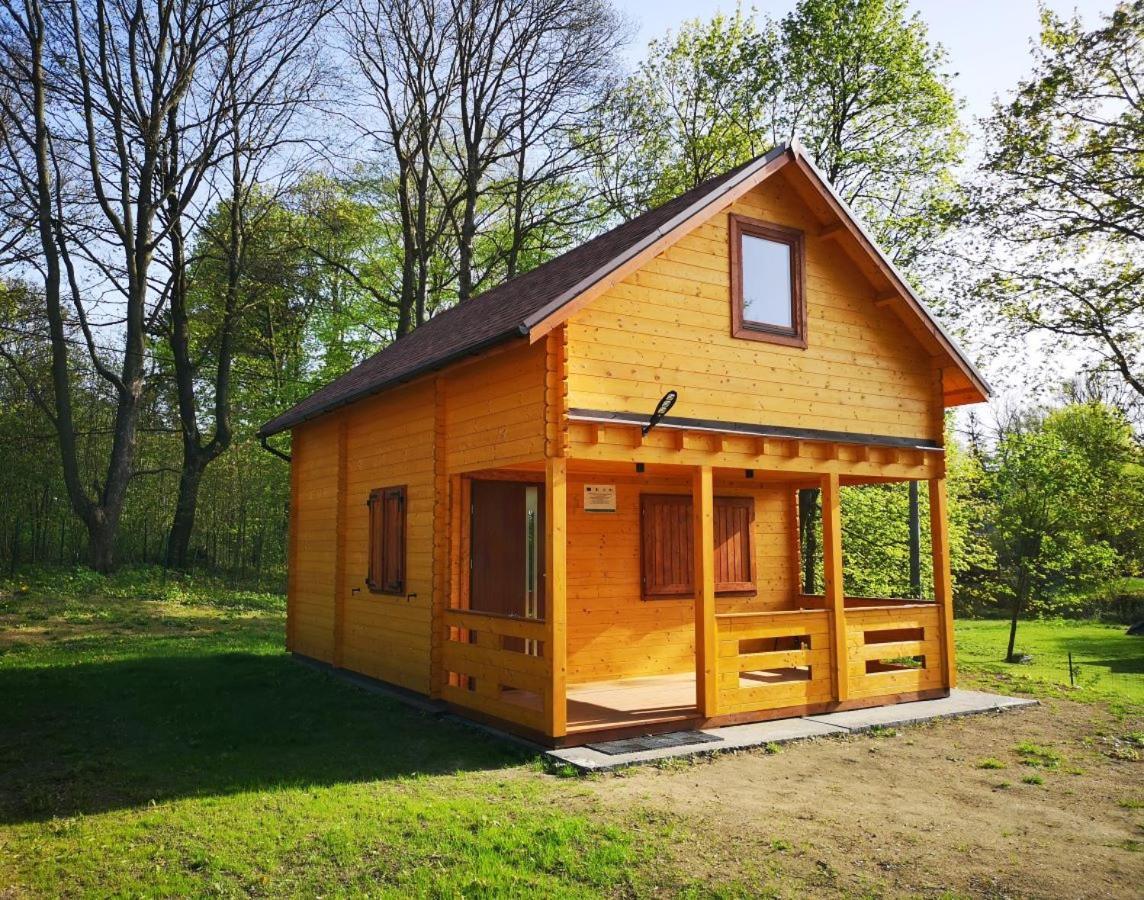 Villa Janowickie Zacisze à Janowice Wielkie Extérieur photo